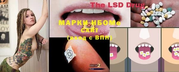 твердый Алексин
