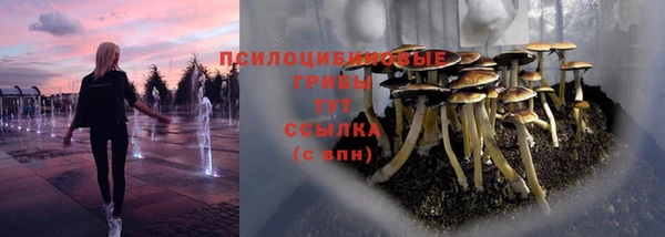 твердый Алексин