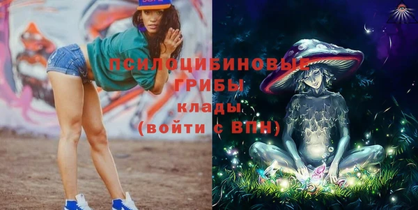 твердый Алексин