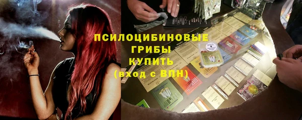 твердый Алексин