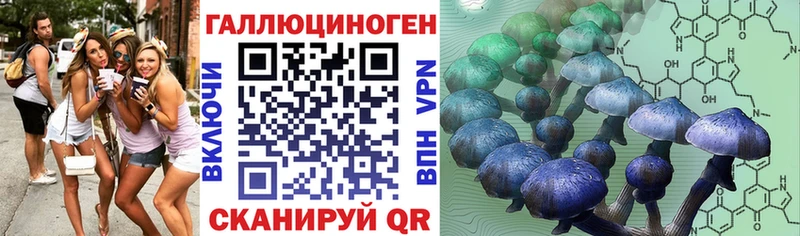 Галлюциногенные грибы Psilocybe  Ликино-Дулёво 